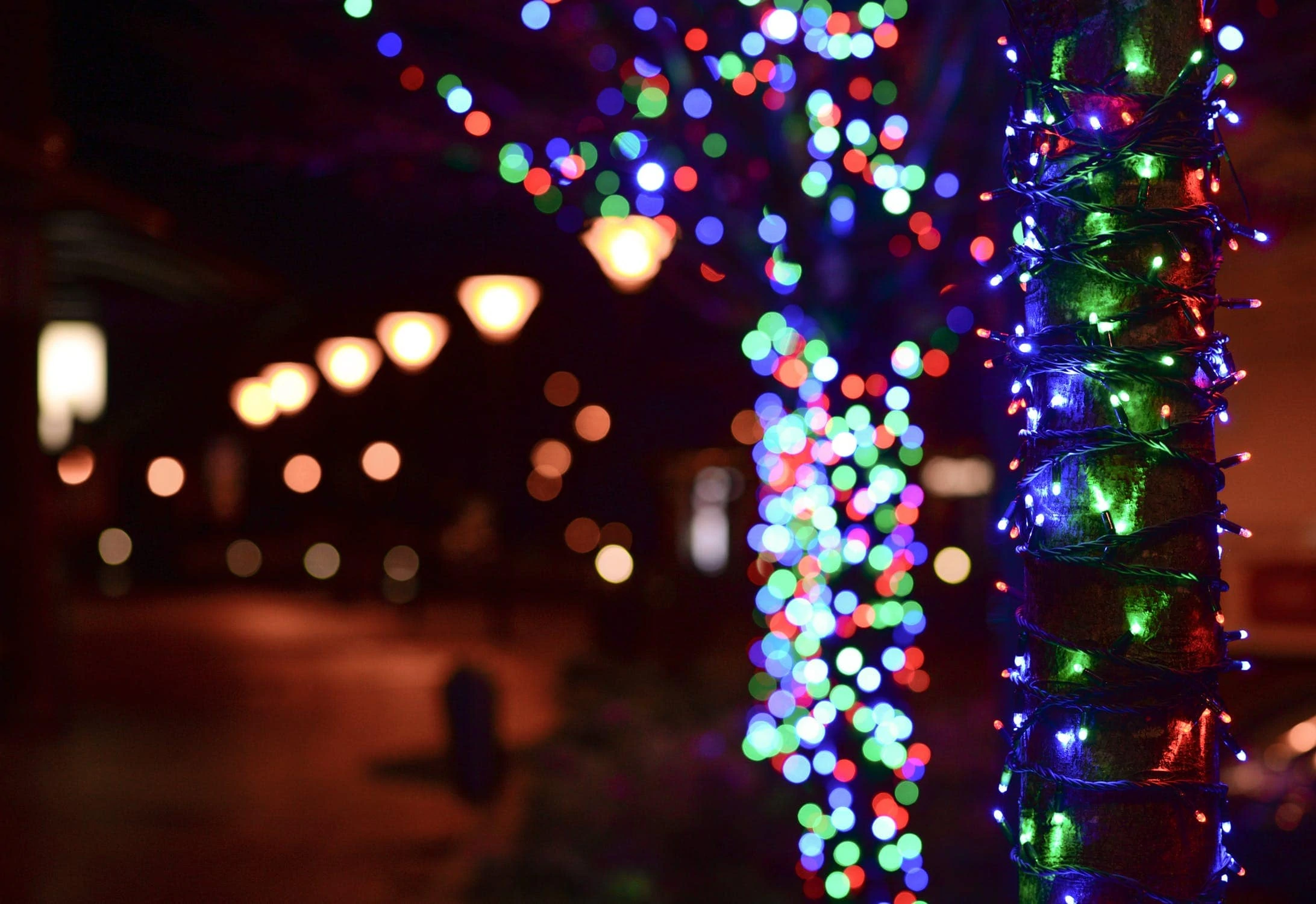 Street with Christmas Lights