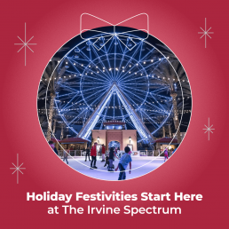 METROLINK holiday campaign IG Irvine01