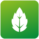 Traffic Relief Plan - Environmental Mitigation
